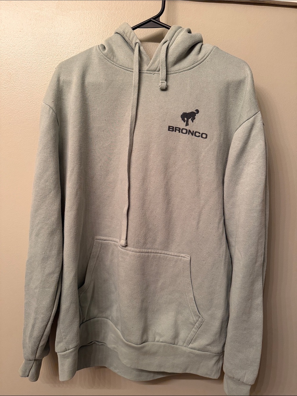 Ford Sage Green Pullover Hoodie